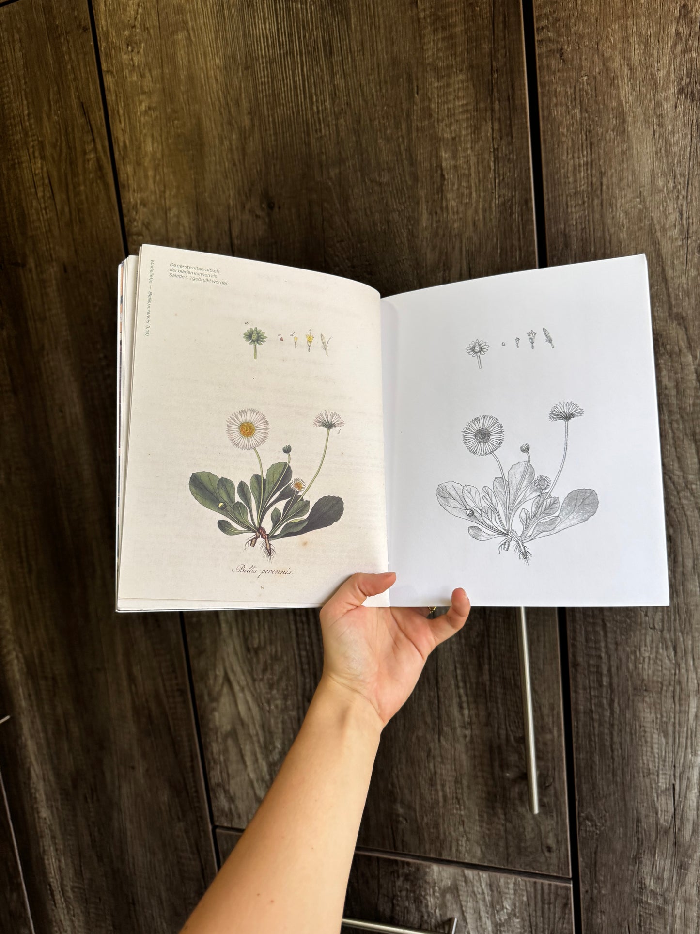 Brand New colouring book